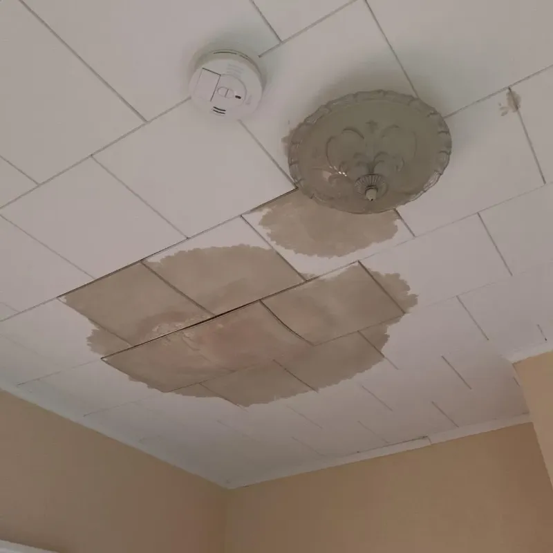 Ceiling Water Damage Repair in Swanton, VT