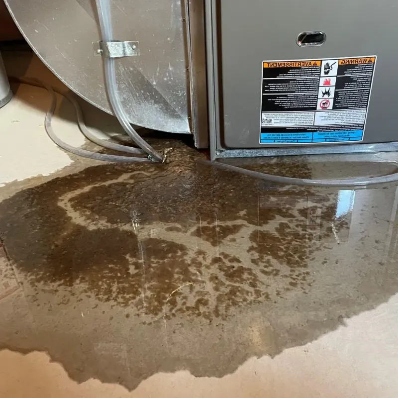 Pipe Burst and Leak Restoration in Swanton, VT