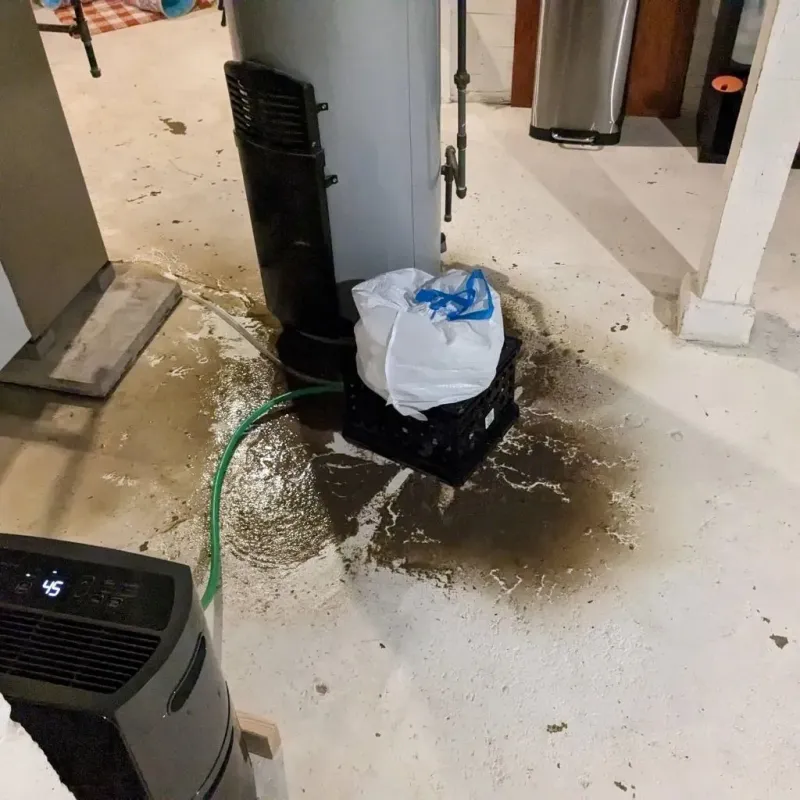 Sewage Backup Cleanup Service in Swanton, VT